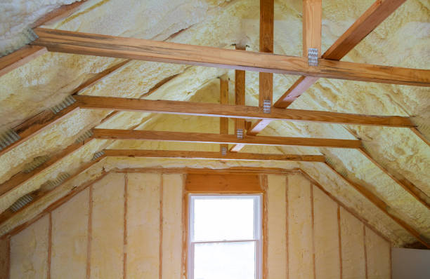 Best Local Insulation Services  in Endwell, NY