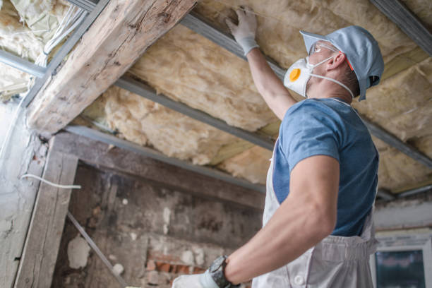 Insulation Repair Services in Endwell, NY