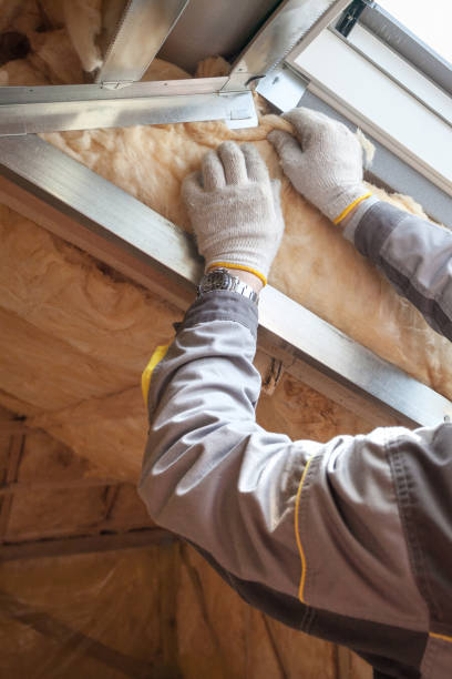 Best Insulation Contractor Near Me  in Endwell, NY